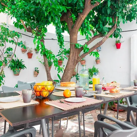 Edomus El Patio Del Limonero Apartment