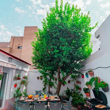Edomus El Patio Del Limonero Apartment