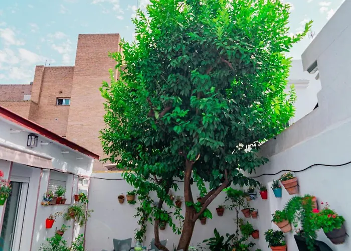 Edomus El Patio Del Limonero Apartament
